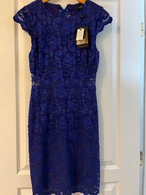 Royal Blue Lace Cap-Sleeve Sheath Dress